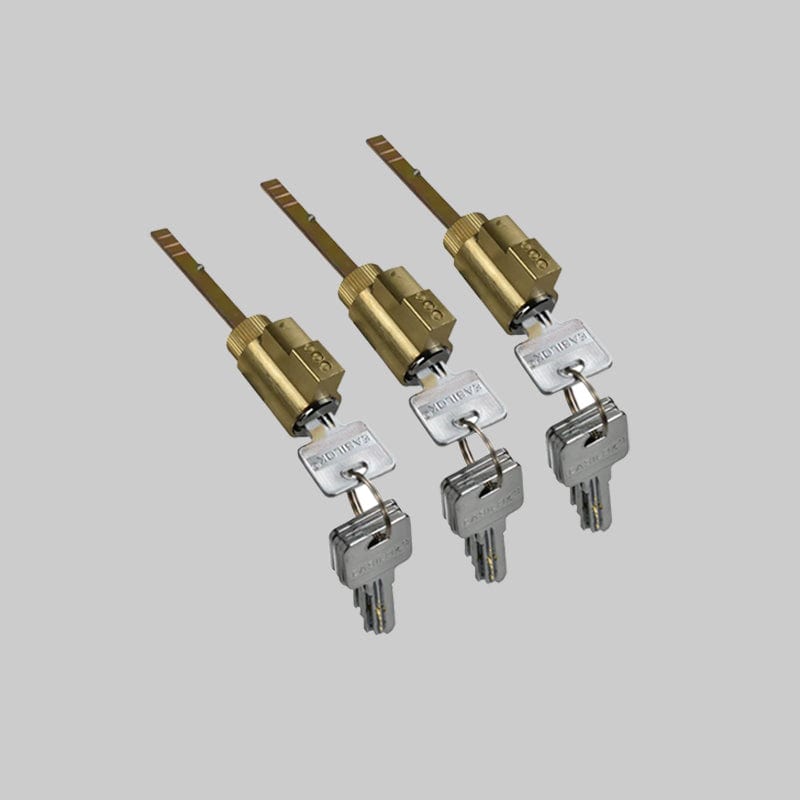 3*E2 Lock cylinder/cores with 15 of dimple keys